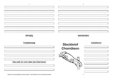Chamäleon-Faltbuch-vierseitig-2.pdf